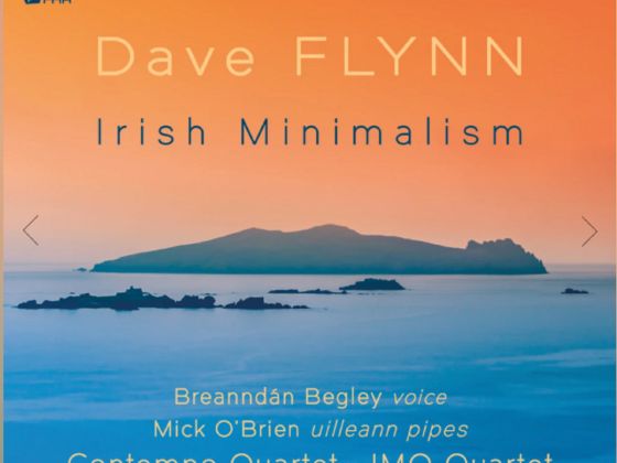 Dave Flynn : Irish Minimalism