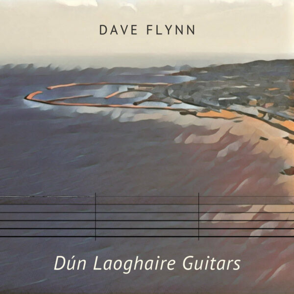 dunlaoghaire guitars