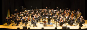 A photo of the RTE Concert Orchestra collaboration with Dave Flynn, Martin Hayes and the Irish Memory Orchestra